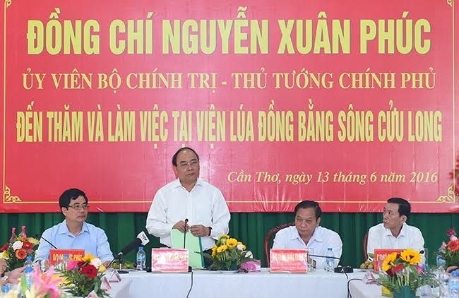 Le Premier ministre Nguyen Xuan Phuc dans le delta du Mékong - ảnh 1